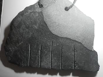 61HCwfgimBL._AC_UF350,