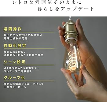 Amazon.co.jp: エジソンスマート おしゃれなスマート電球 単品