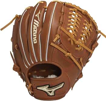 61TIp1lHieL._AC_UF350,