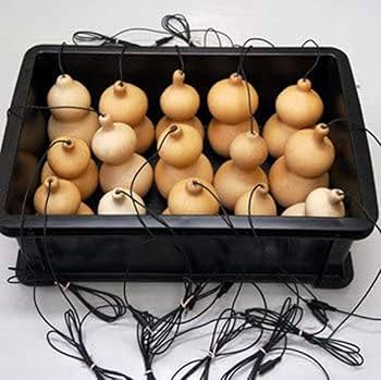 Amazon.co.jp: バード電子 ひょうたんスピーカー EZ-HY1-MONO : 家電