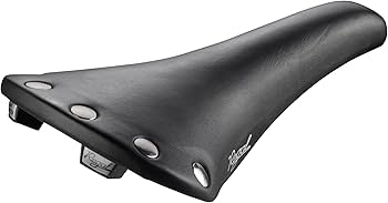 Amazon | セラサンマルコ（SELLE SAN MARCO） 自転車用サドル リーガル