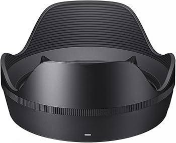 Amazon.co.jp: シグマ(Sigma) レンズ 24mm F1.4 DG DN Sony ソニー E