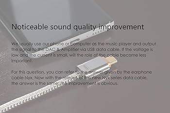 Amazon | DD ddHiFi TC09S ダブルUSB-C (TypeCからTypeC まで転換) OTG