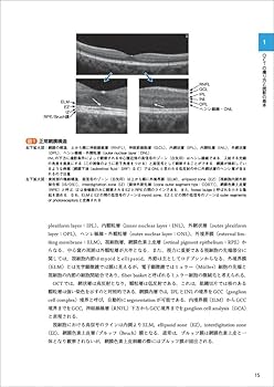 診断力がアップする！OCT・OCTAパーフェクト読影法〜正常・異常所見の