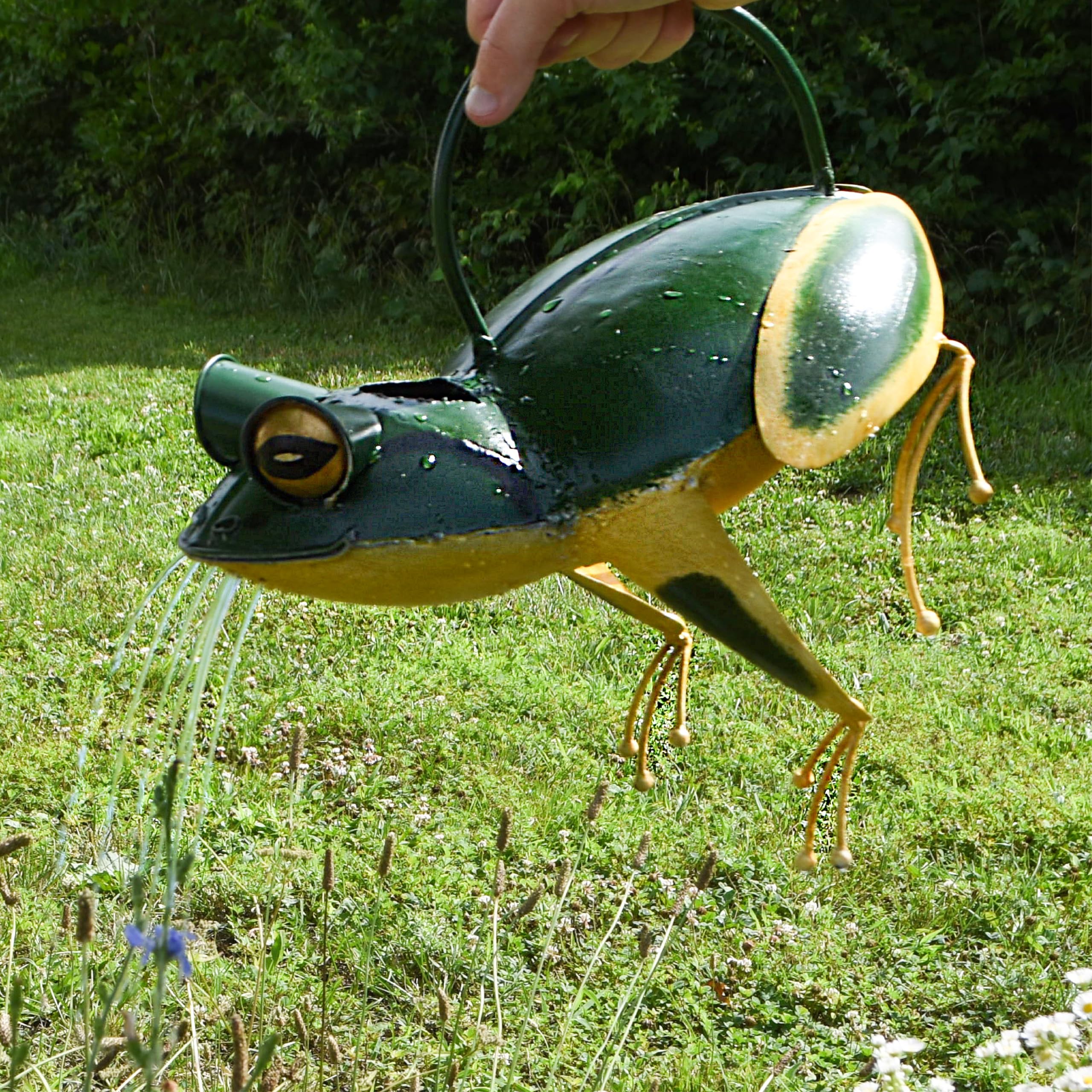 Amazon.co.jp: Blue Handworks 座っているカエルのじょうろ : DIY