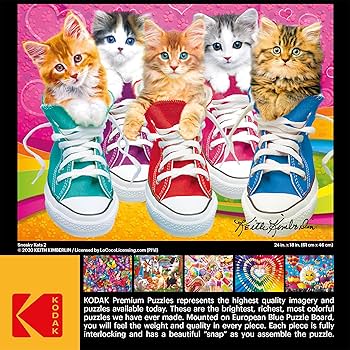 Amazon.com: RoseArt - Kodak Premium - Sneaky Kats II - 350 Piece
