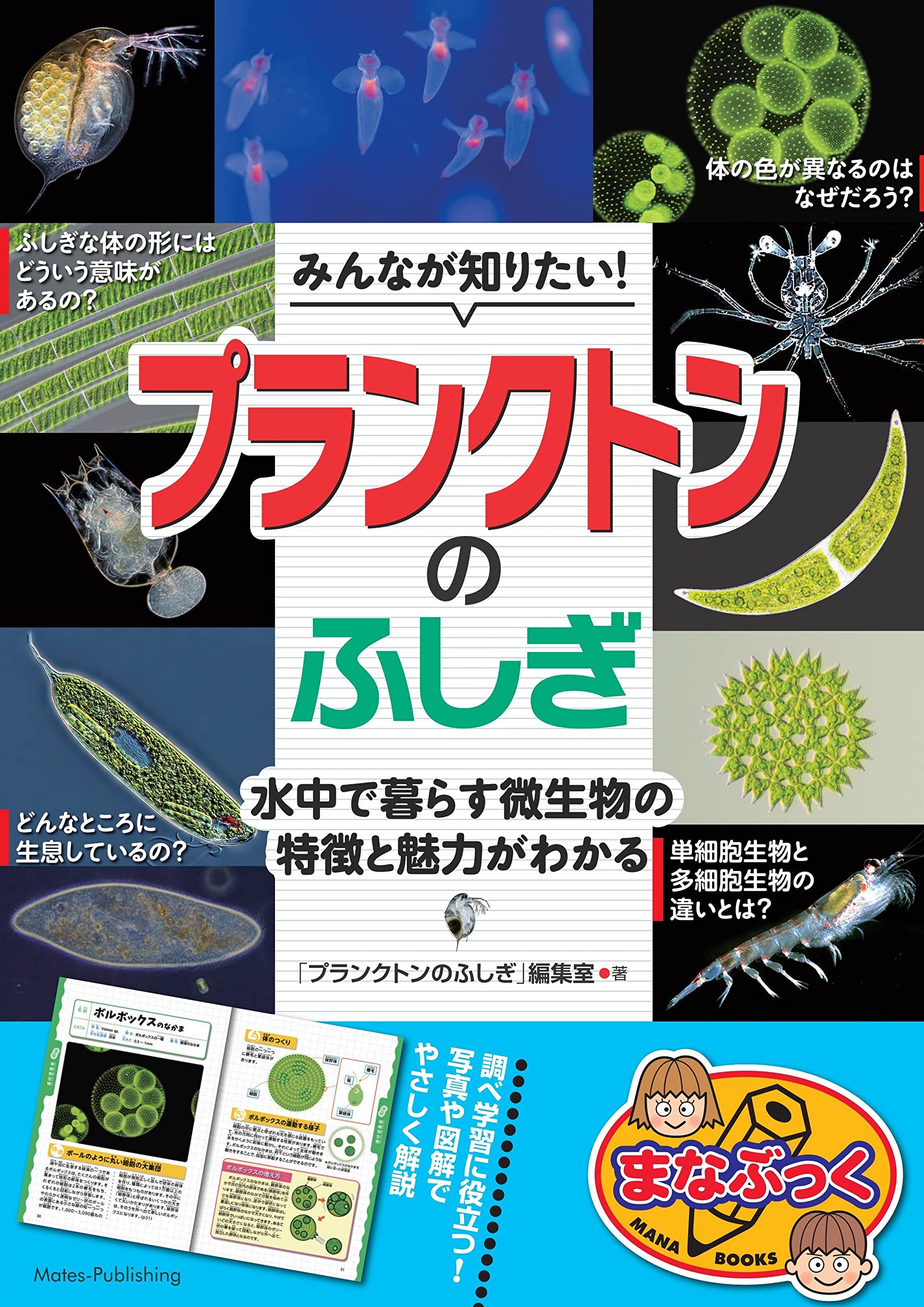 みんなが知りたい! プランクトンのふしぎ 水中で暮らす微生物の特徴と