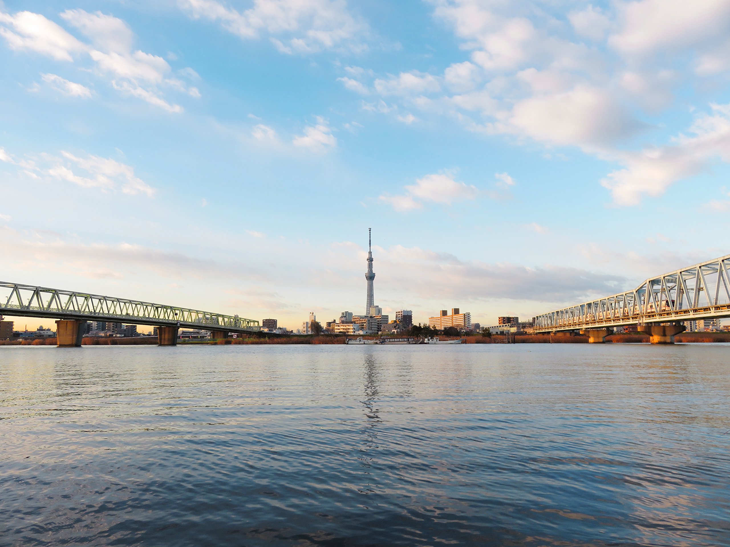 Amazon | Canon デジタルカメラ PowerShot SX710 HS ブラック 光学30倍