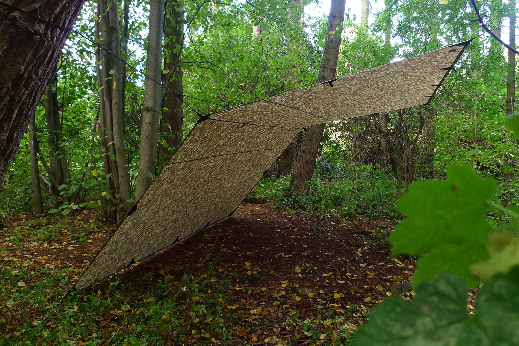 Amazon.com: DD Hammocks Tarp 4x4 - MC (13ft x13ft) - 100