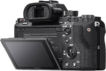 Amazon.com : Sony a7R II Full-Frame Mirrorless Interchangeable