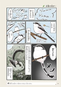 まだまだ!意外と知らない鳥の生活 | piro piro piccolo |本 | 通販