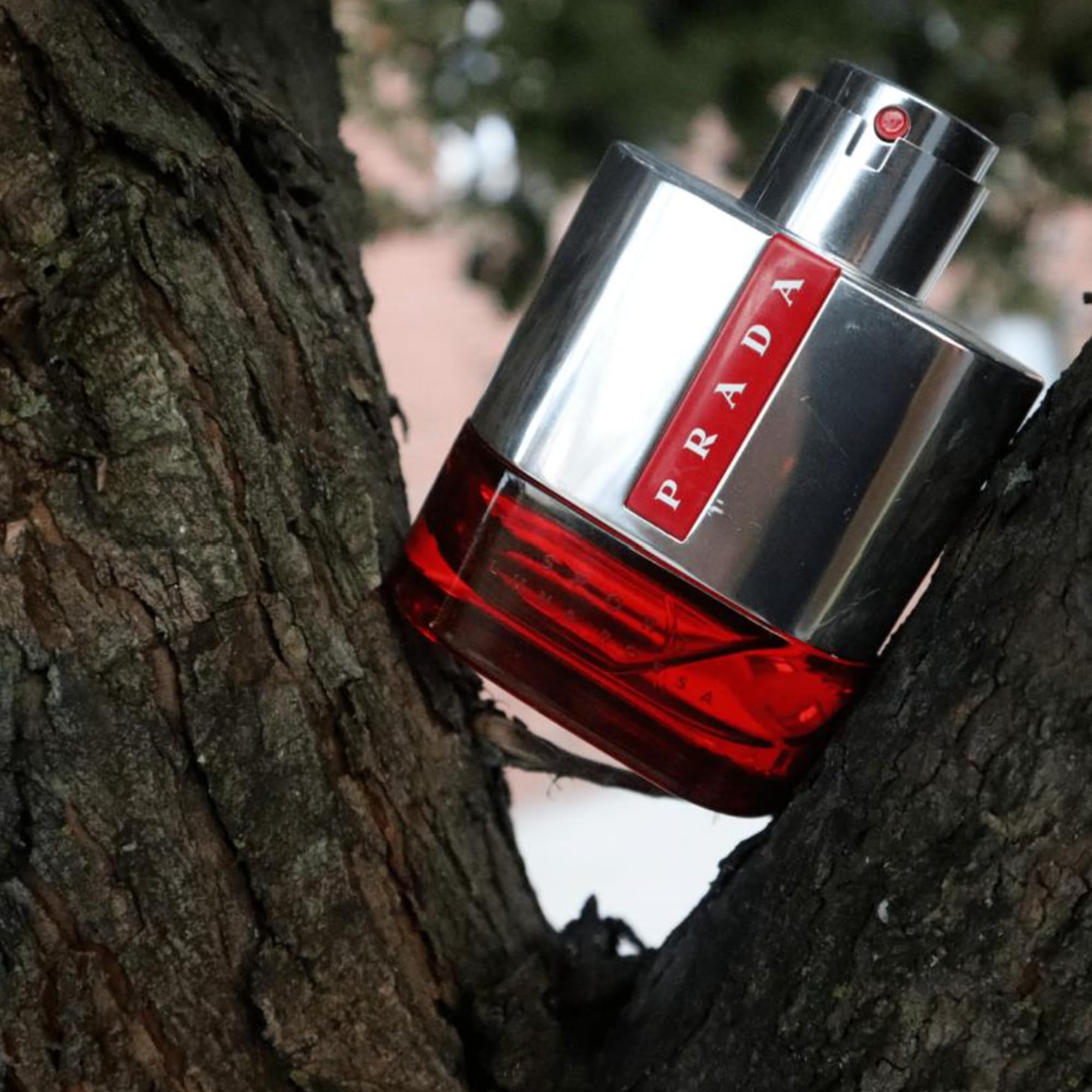 Amazon.com : Prada - Eau de Toilette Luna Rossa Sport 100 ml