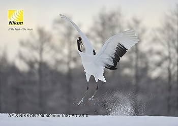 Amazon.co.jp: Nikon 望遠ズームレンズ AF-S NIKKOR 200-400mm f/4G ED