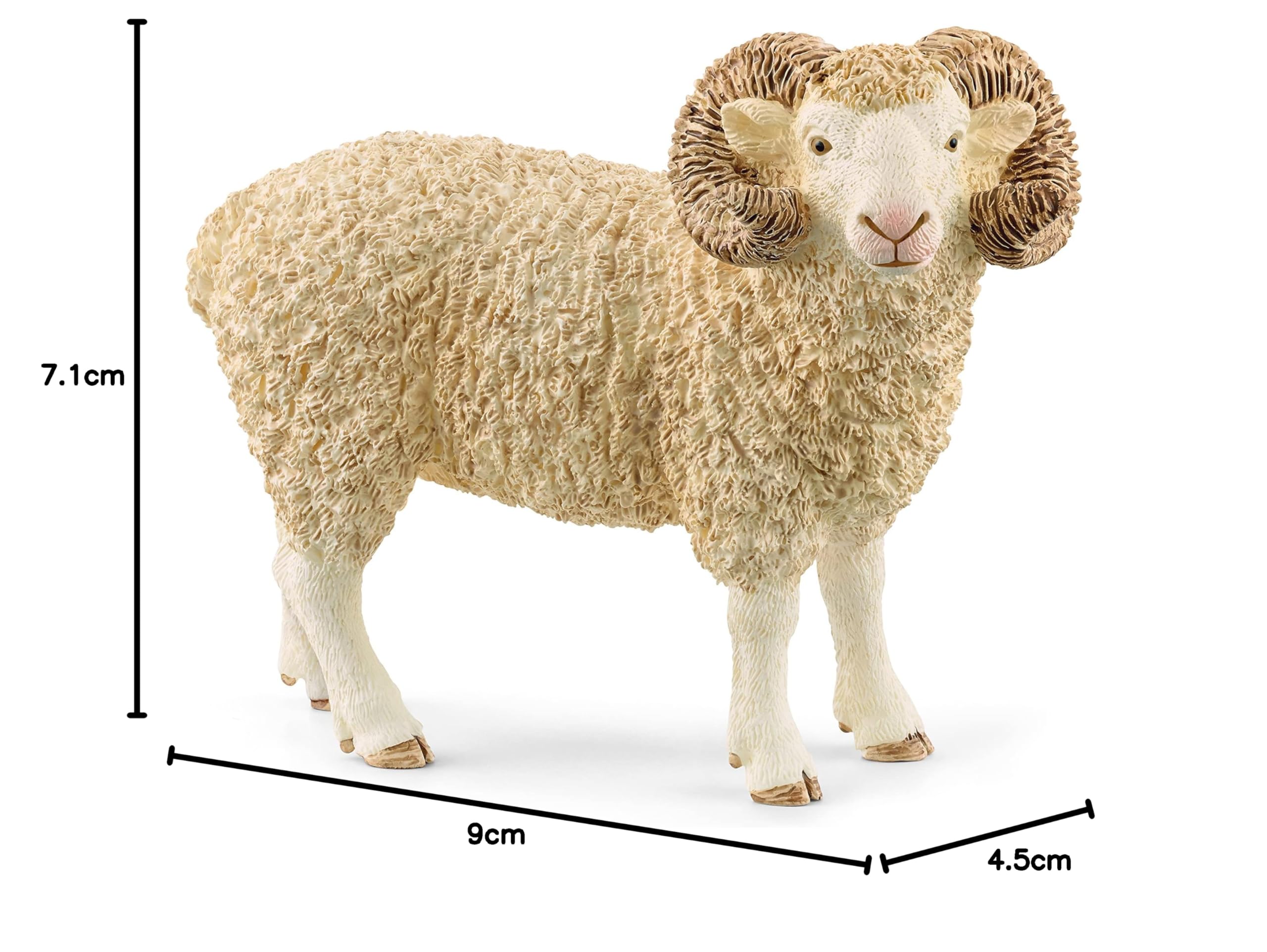 Amazon.co.jp: シュライヒ ファームワールド ヒツジ（オス） 13937