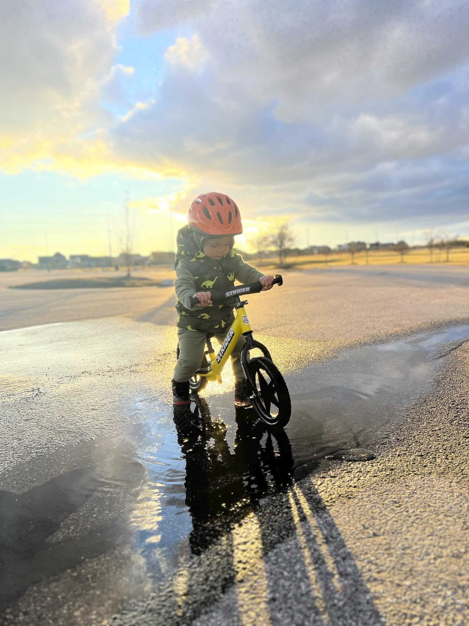 Amazon.co.jp: STRIDER(ストライダー) 12 SPORT (スポーツ) バランス