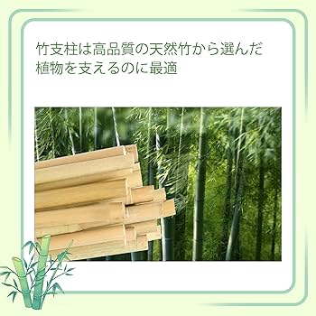 Amazon | 園芸 支柱180cm、天然竹 支柱 25本入り、篠竹 しの竹 家庭