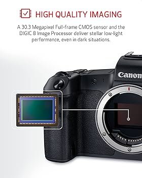 Amazon.com : Canon EOS R RF24-105mm F4-7.1 IS STM Lens Kit