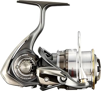 Daiwa reel Steez spinning model type -II Hi-SPEED : Amazon.co.uk