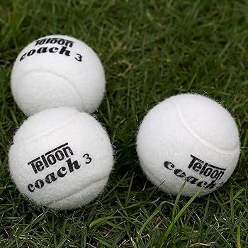 Amazon | テニスボール (ホワイト-12個) | Teloon | ボール