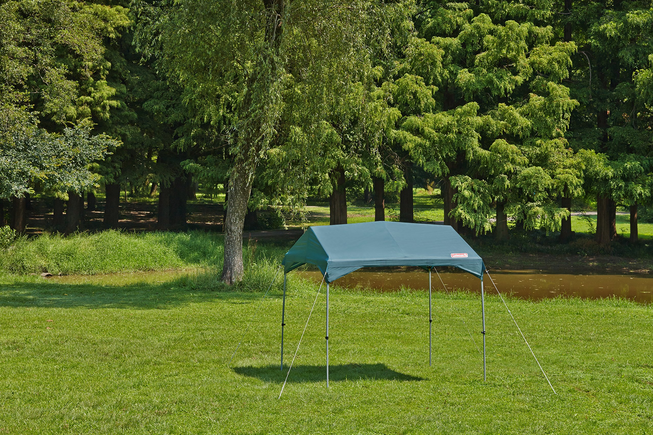 Amazon | コールマン(Coleman) タープ イージーキャノピーレクタ 260