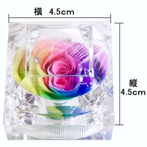 Amazon.co.jp: フローラルベビードール プリザーブドフラワー