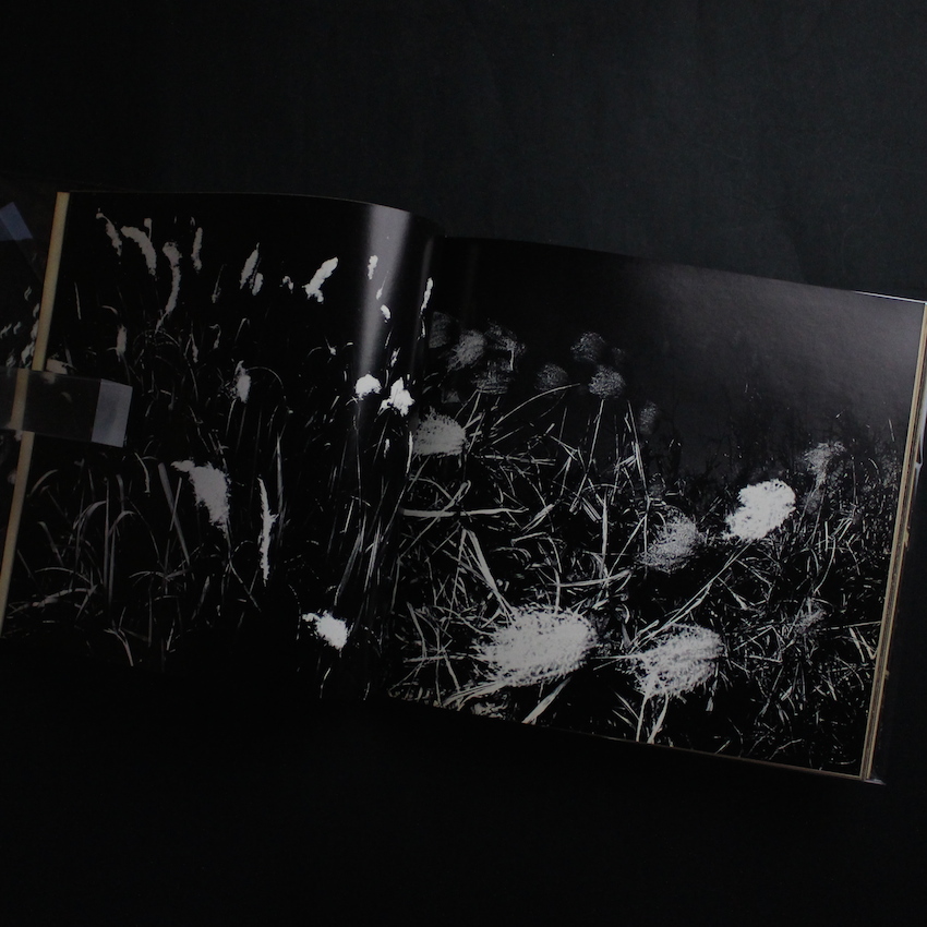 植物に（Singed） - 山村 雅昭 / Gasho Yamamura