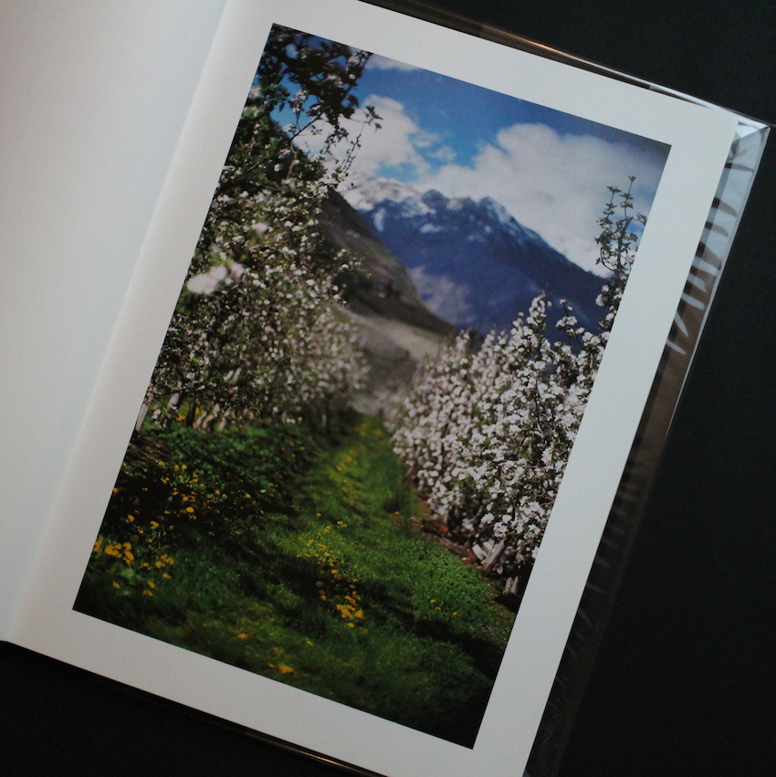 Lana - Terri Weifenbach