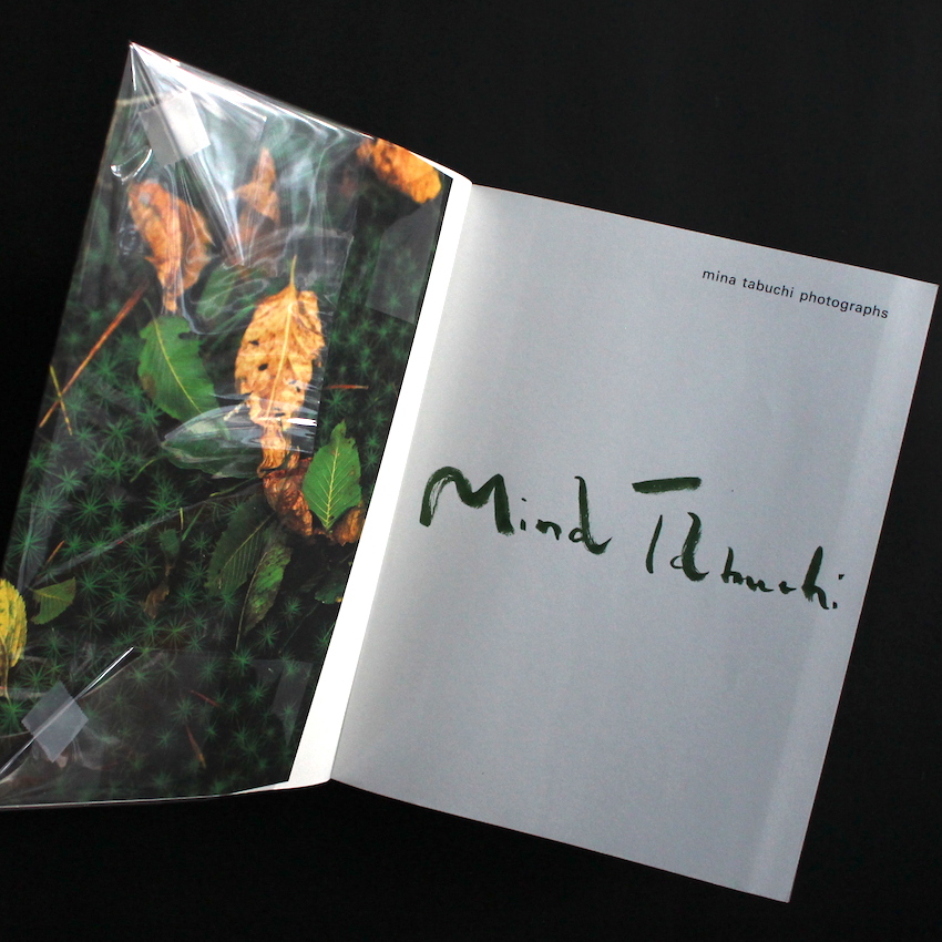 into the forest（Signed） - 田淵 三菜 / Mina Tabuchi