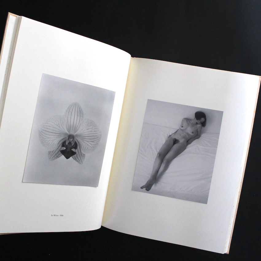 Into the Silent Land - 上田 義彦 / Yoshihiko Ueda