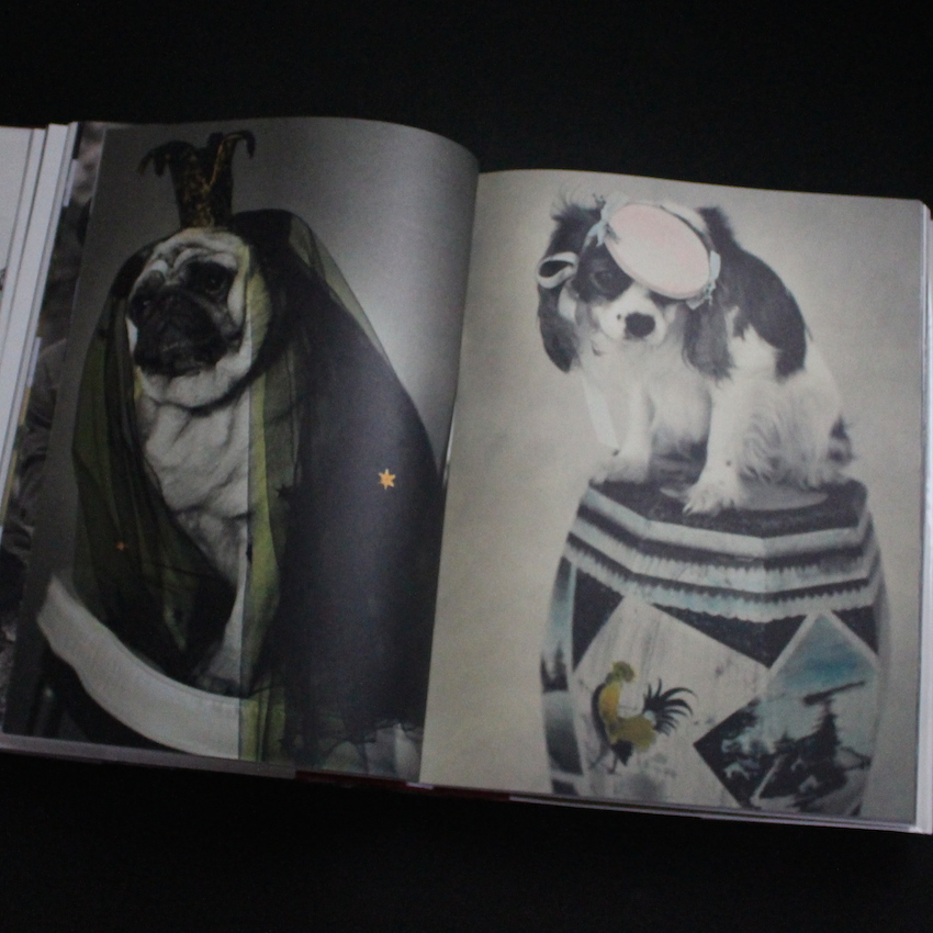 Blood Sweat And Tears -Or How I Stopped Worrying And Learned to