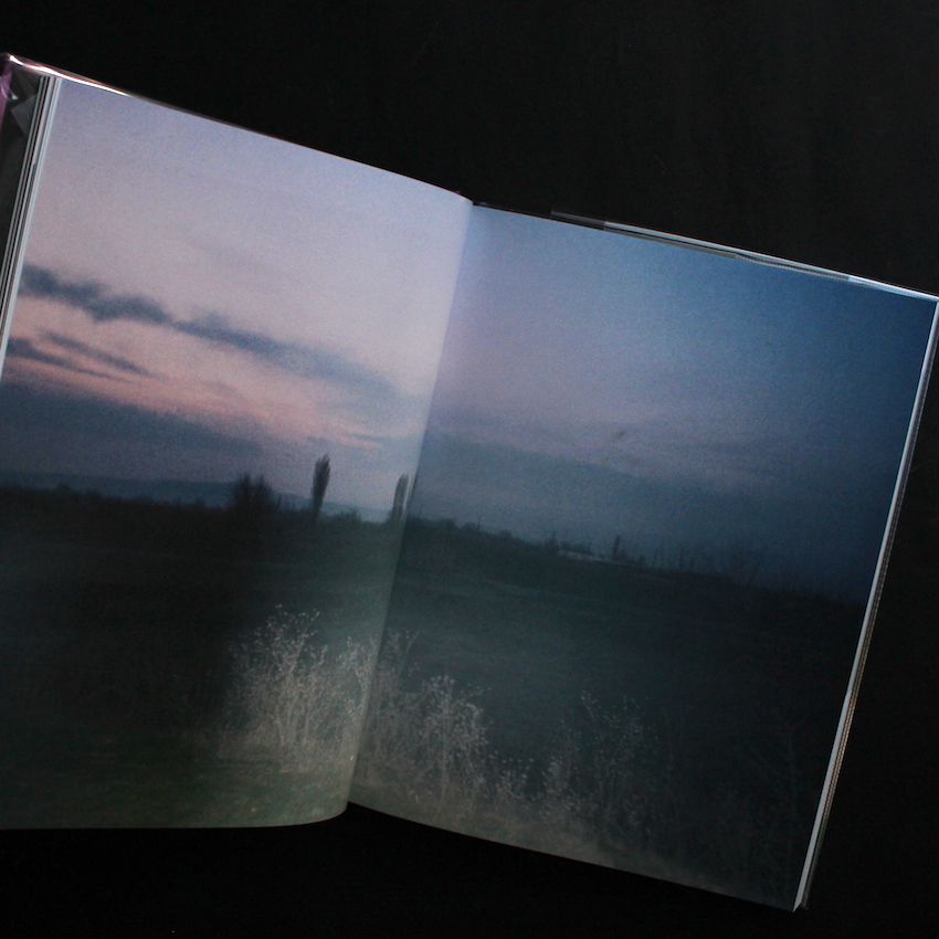 Santa Barbara（Unopened） - Diana Markosian