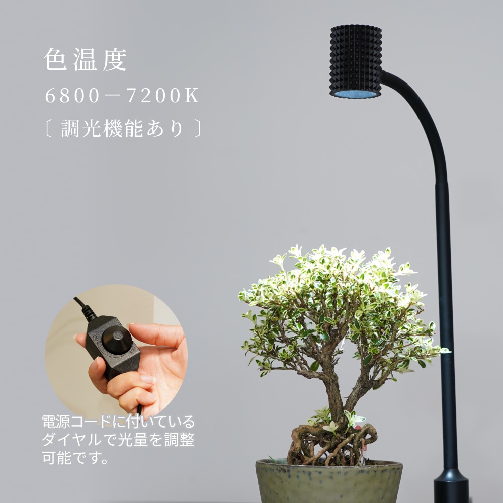 植物育成ライト専門店BARREL｜【Yew-7W】電球E26