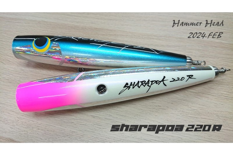 HAMMER HEAD(ハンマーヘッド)/ シャラポア220 R （レスポンス