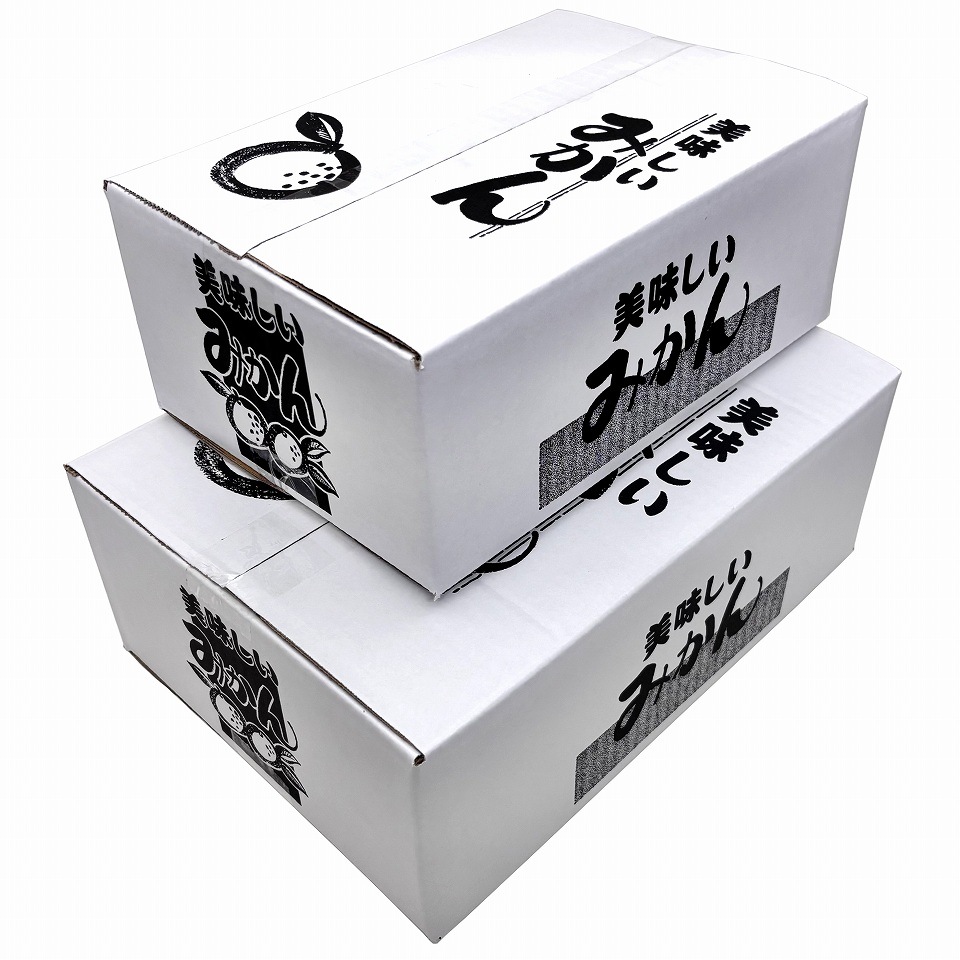 みかん用送り箱】美味しいみかん 5㎏（50枚入） 内寸：260×365×H135mm