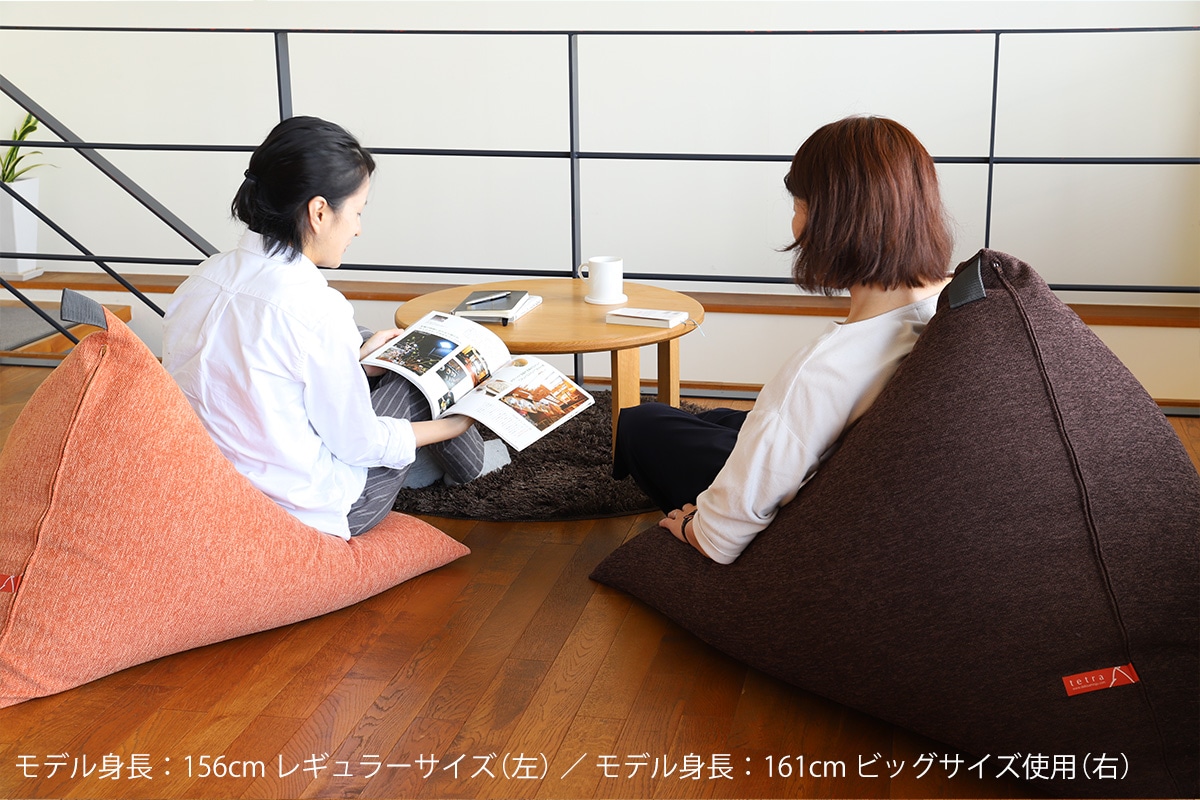 tetra CHENILLE（シェニール）ビーズクッション テトラ 【ビッグサイズ