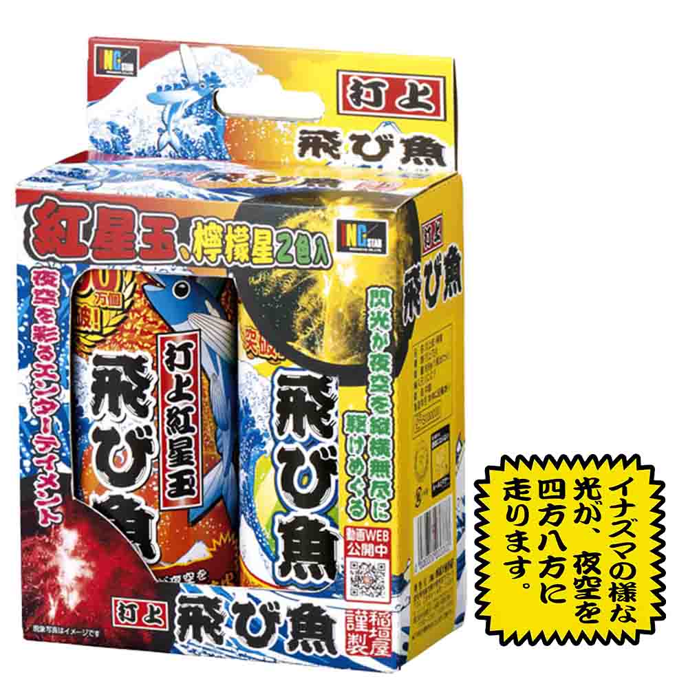 飛び魚2P 紅黄（2色2本入） | 打ち上げ花火 | eはなびやさん│圧倒的な