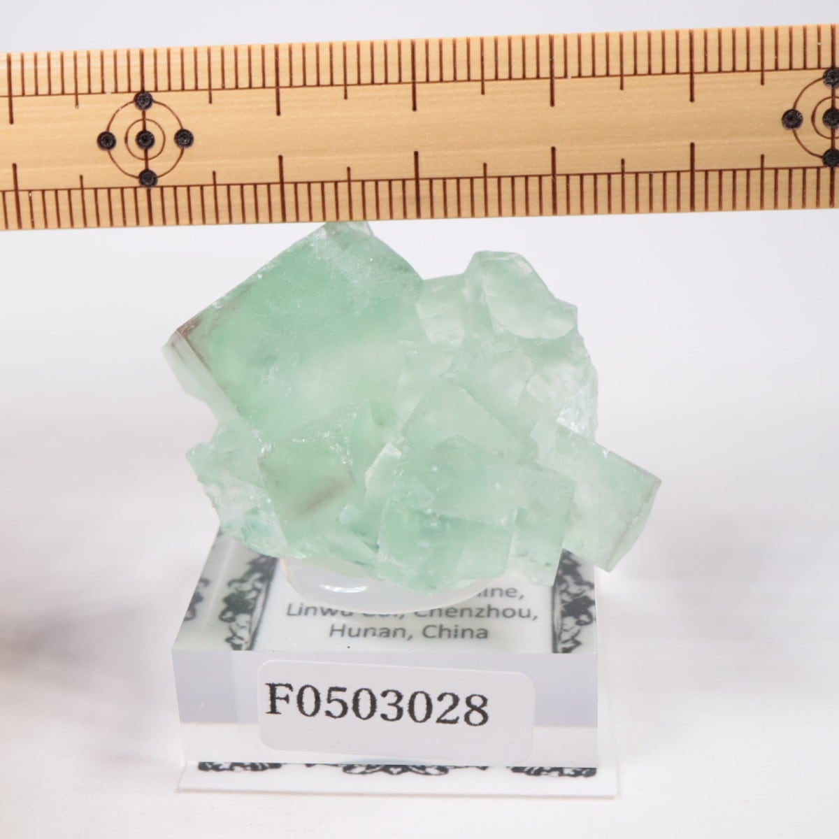 シャンファーリン産 フローライト | 鉱物標本,ハ行,フローライト/蛍石