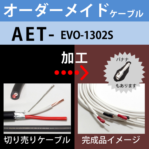 オーダーメイドスピーカーケーブル「AET EVO-1302S/特殊エイジング済
