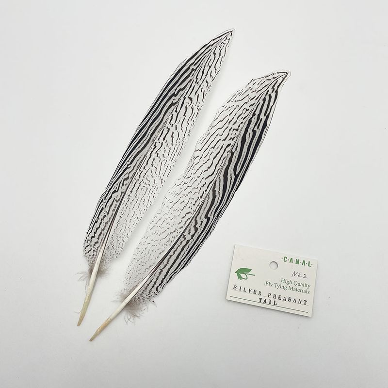 シルバーフェザント