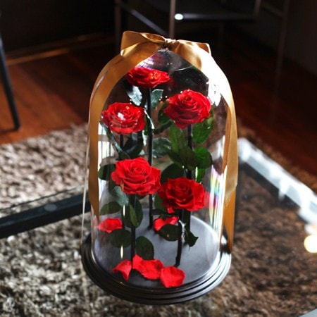 デスティニーローズ