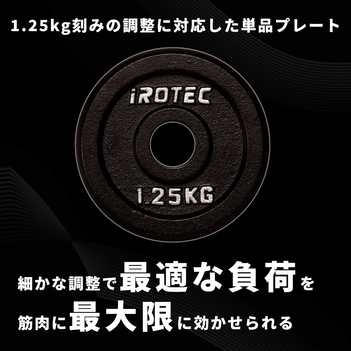 アイアンプレート1.25kg(1枚)【穴径29mm】 IROTEC (アイロテック)