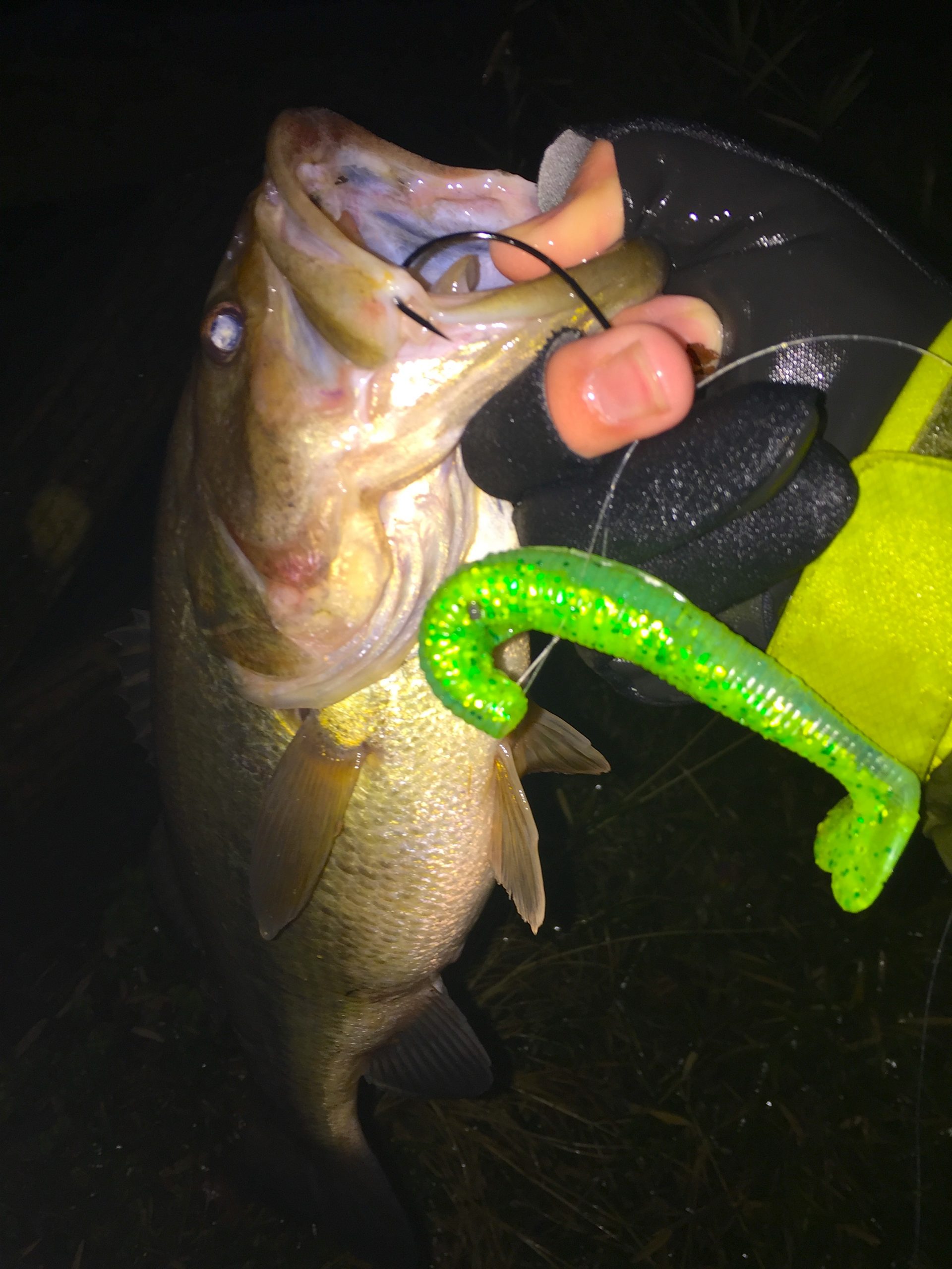 インプレ】ゲーリーヤマモト「ハートテール」。使いかた、フックサイズ