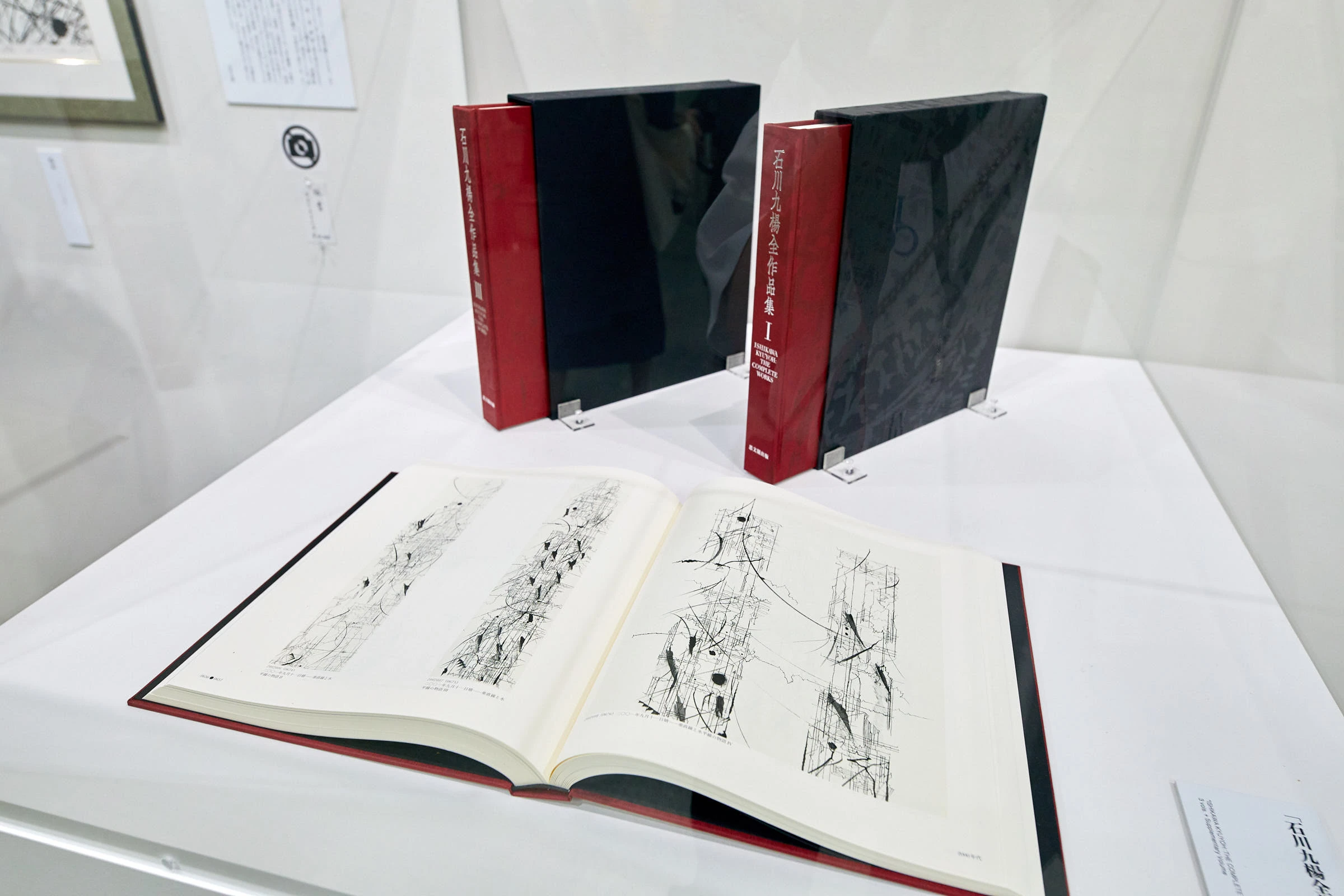 人生を「書」に捧げる石川九楊、待望の大規模個展がいよいよ開幕