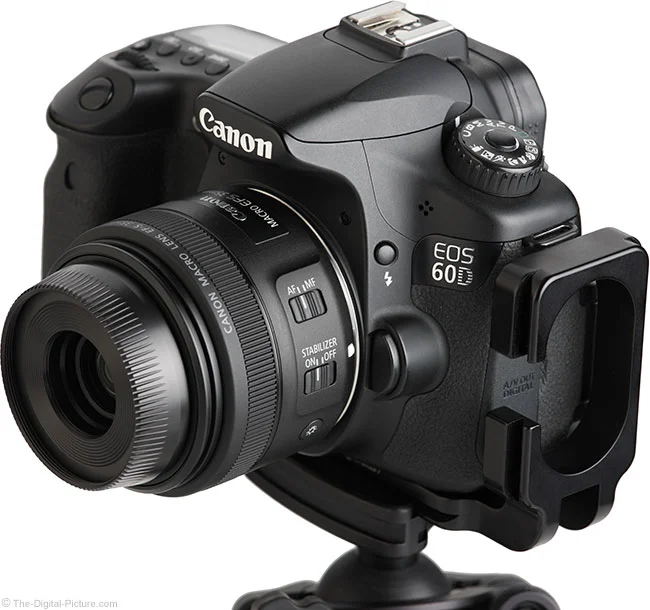 Canon EF-S 35mm f/2.8 Macro IS STM Lens Review