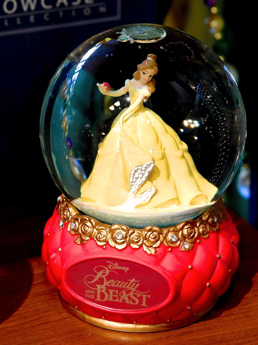 ミッキーたちやプリンセスも！東京ディズニーランド｢ディズニーショー