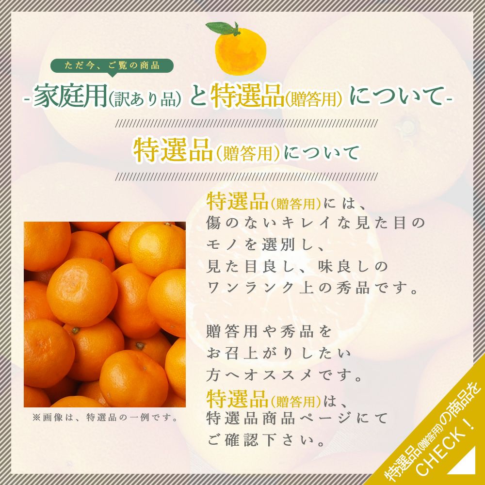 2月中旬より発送予定】【春季限定】甘夏(あまなつ)【家庭用(訳あり品