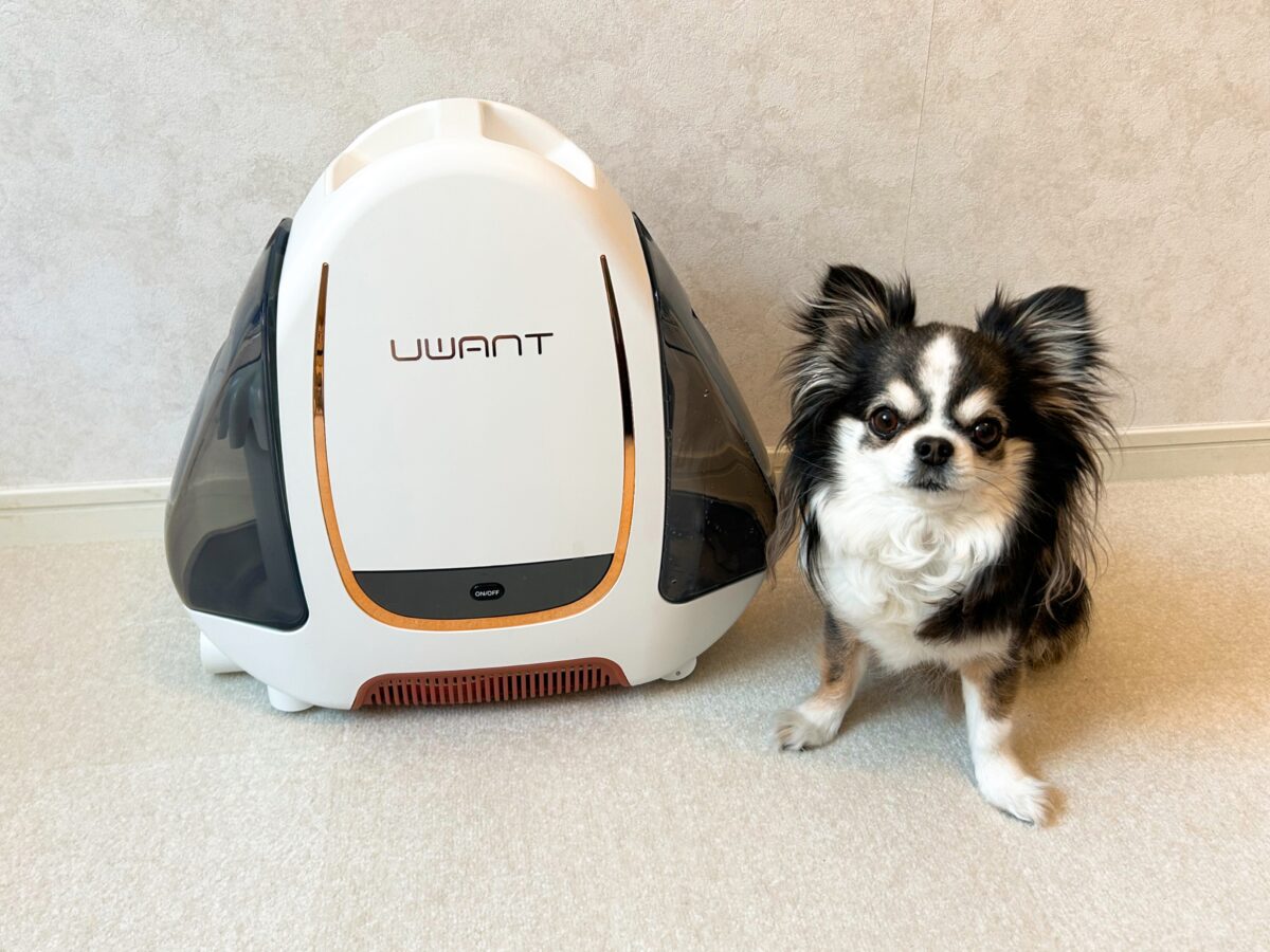 ペットのおしっこ跡におすすめ！UWANTのリンサークリーナーを使って