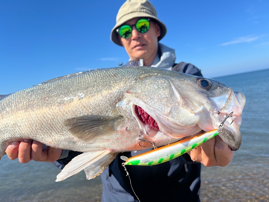 CASKET モンスタープロデューサーMP145販売 | Fishing Gear Monochrome