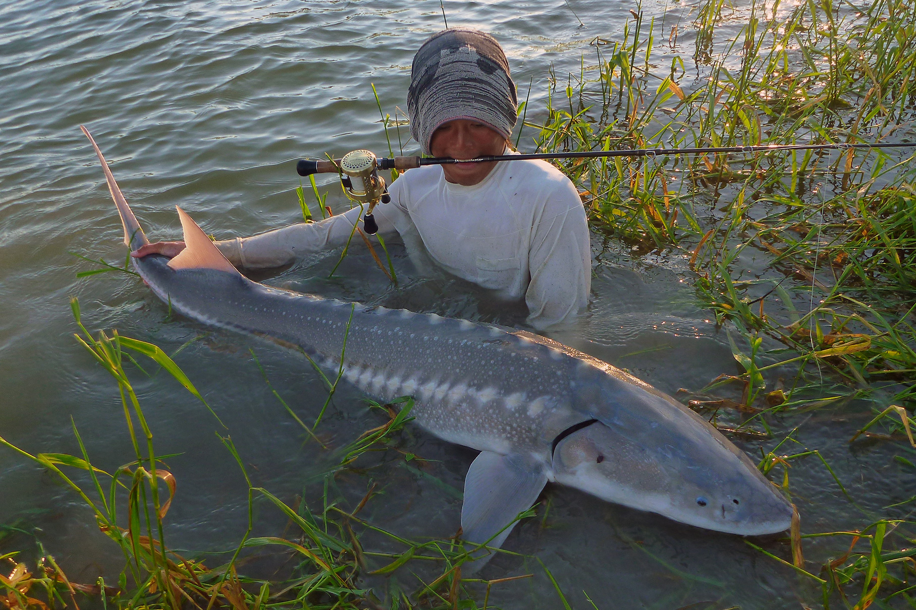 Dear Monster MX-6 - Monster Kiss モンスターキス