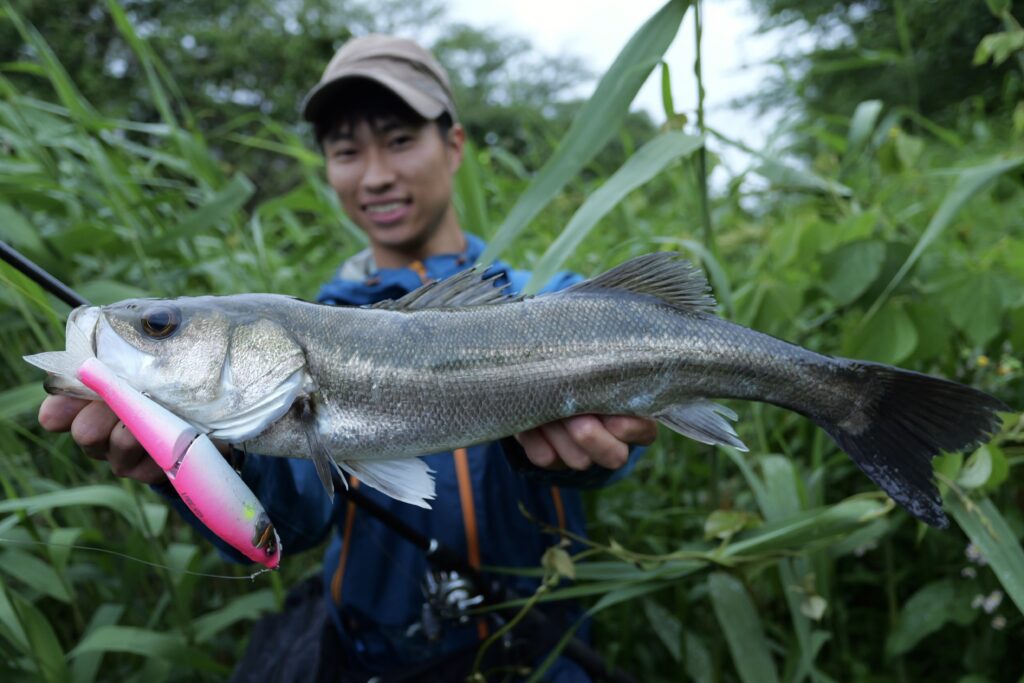 Shinkirow ON-SITE 69///80MHC」現場主義者へ、ベイトシーバスこれ1本